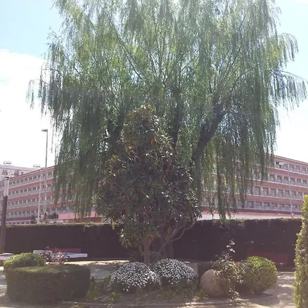 Apartman Bravaholidays-271-zeus *