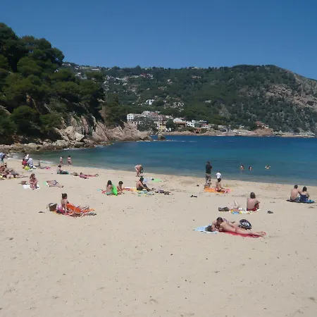 Bravaholidays-271-zeus Blanes